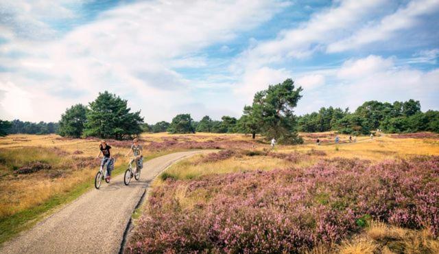 Sfeervol Chalet Op De Veluwe 皮滕 外观 照片