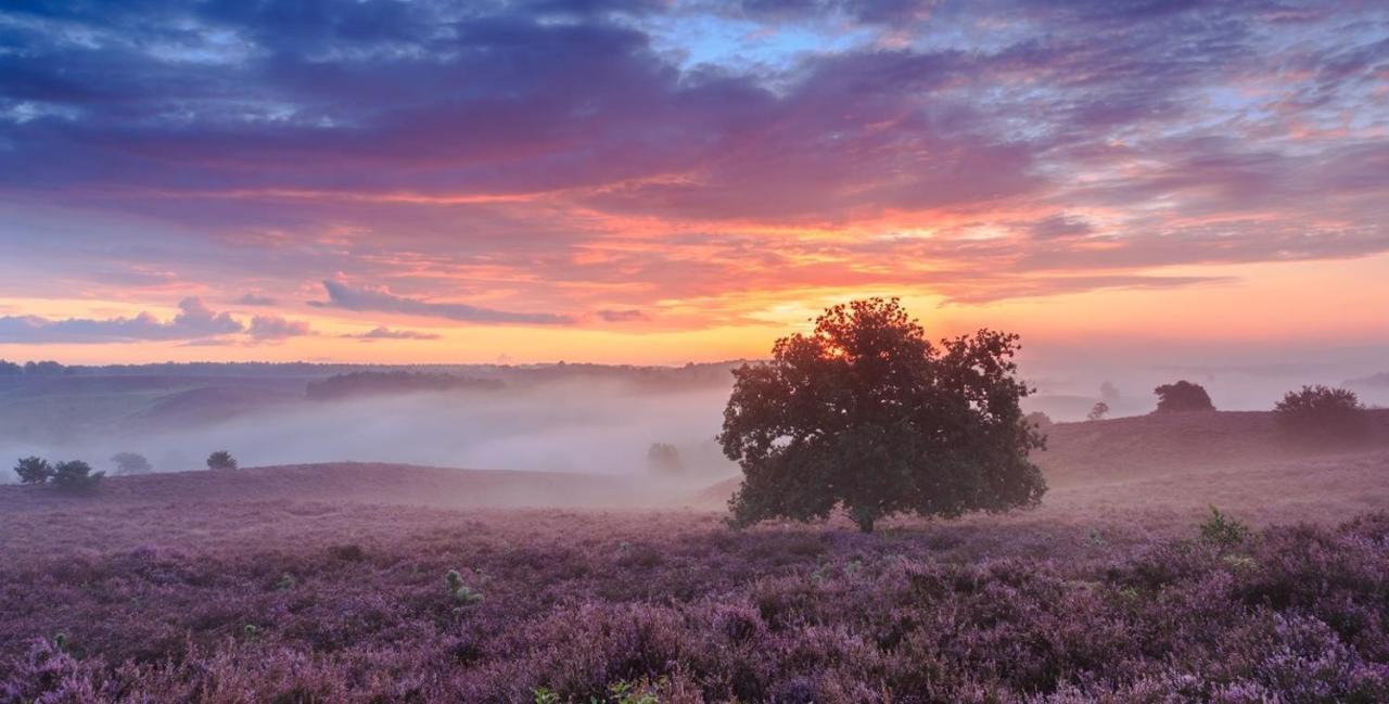 Sfeervol Chalet Op De Veluwe 皮滕 外观 照片